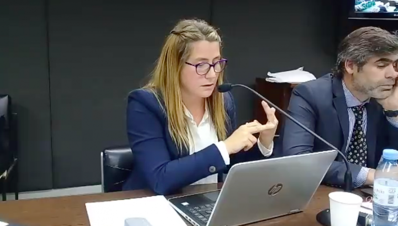 Juicio Monte Pelloni 2: lectura de alegatos